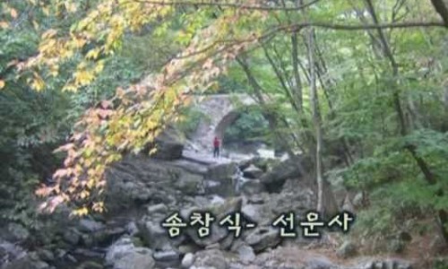 동백장어 이미지