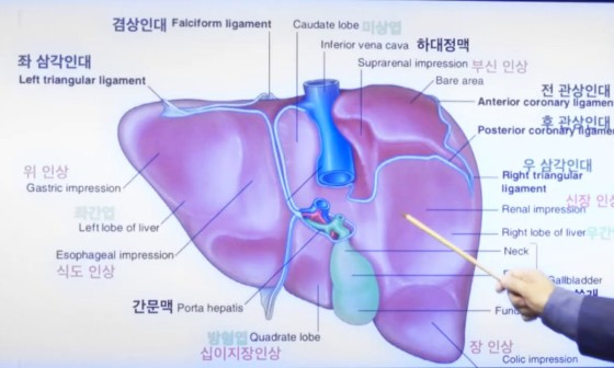 종부테라피 이미지