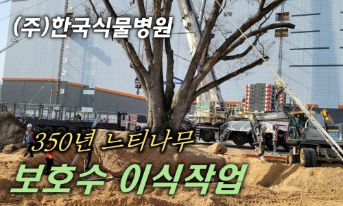 한국식물병원 이미지