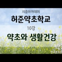 약초생활건강 이미지