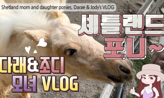 다래ENG 이미지