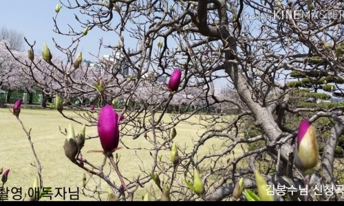 시민사 이미지