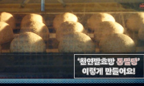 통밀빵 이미지