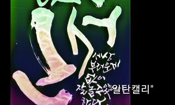일탄아트 이미지
