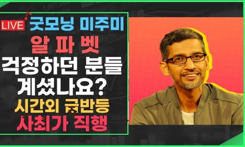 메타다임 이미지