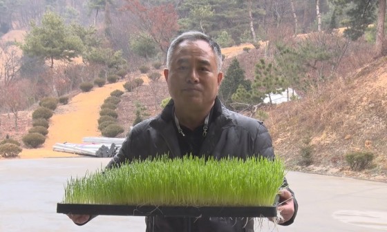 농업회사법인 새싹주식회사 이미지