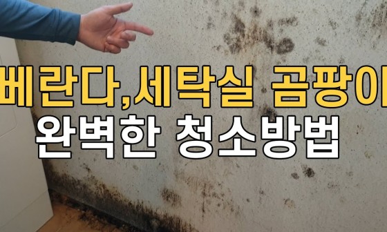 매직청소TV 이미지
