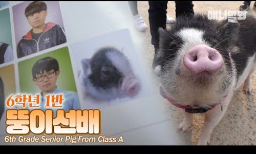 세움협동조합 이미지