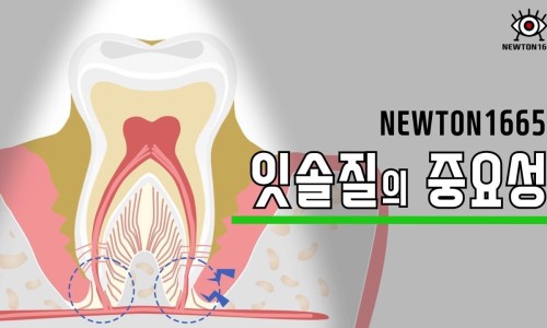행복한연치과의원 이미지