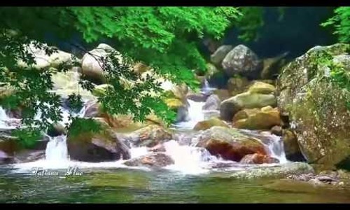 카페8(Cafe 8) 이미지