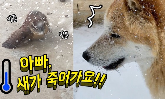 우리집 이미지