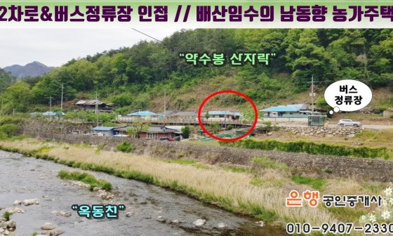 양지수선 이미지