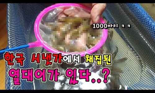 신하주유소 이미지