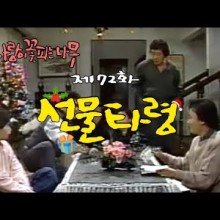 사랑이꽃피는나무 이미지