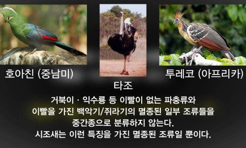 미인창조 이미지