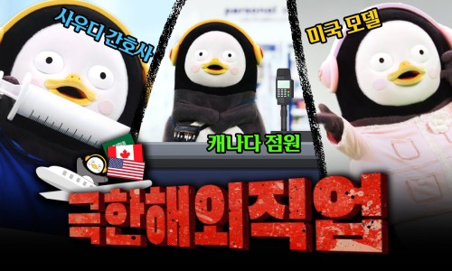 바로취업센터 이미지
