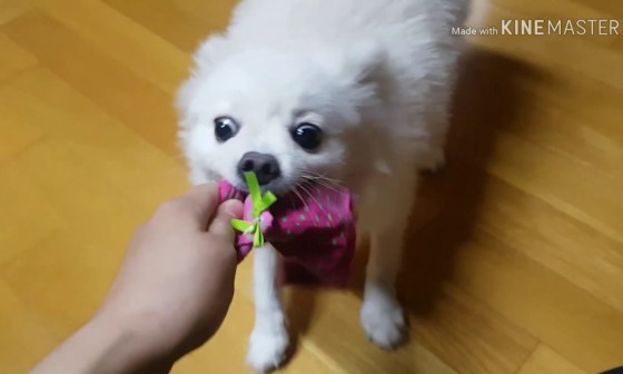 민CARE1 이미지