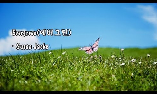 에버그린존 이미지