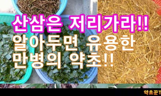 스마트폰세상 이미지