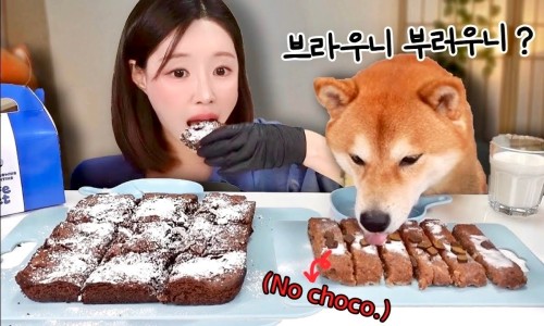헬시라이프몰 이미지
