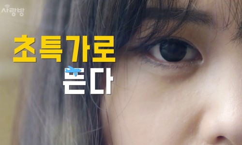 (주)사랑의여행사 이미지