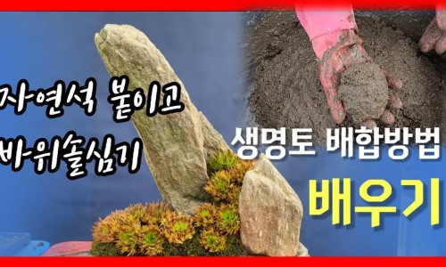 솔양지농원 이미지