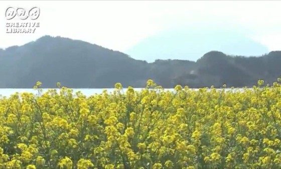 산속의집 이미지