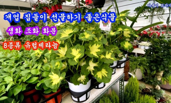 청산화원 이미지