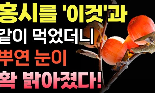신비한먹거리 이미지