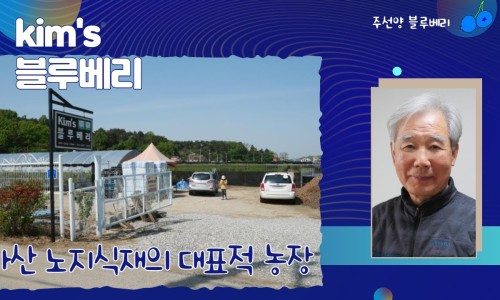 한나선양 이미지