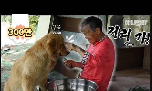 해피애니멀 이미지