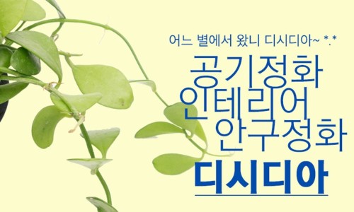 정화인테리어 이미지
