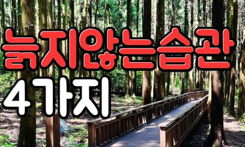 마나스힐링센터 이미지
