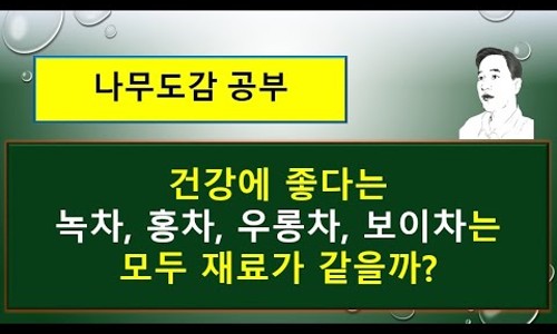 다목차와나무 이미지
