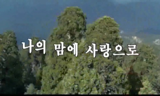 샤론의꽃 이미지