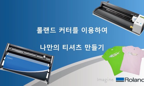 디지지에스 이미지