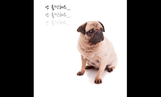 은혜충전소 이미지