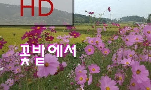 서울이수초등학교 이미지