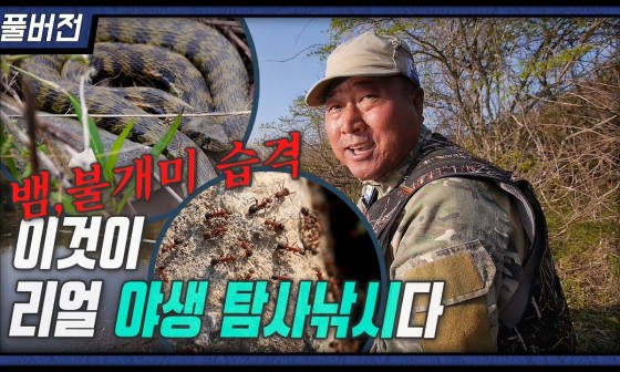 더차우 이미지