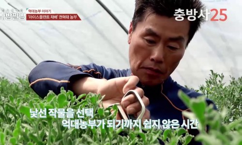 수정슈퍼 이미지