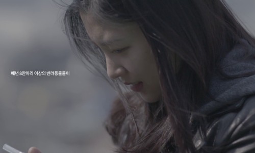 포인핸드 이미지
