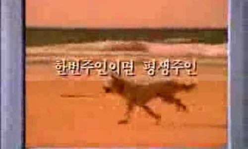 세진광고 이미지