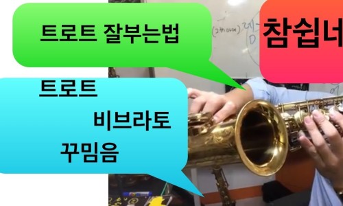비브라 이미지