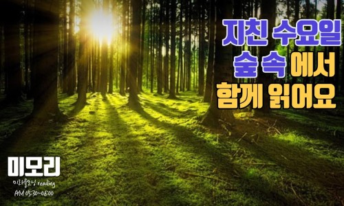 미라클숲 이미지