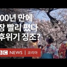 환경나라 이미지