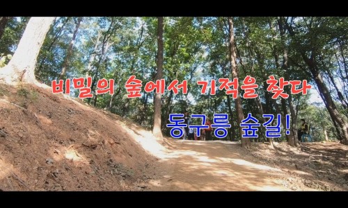 기적의힐링숲 이미지