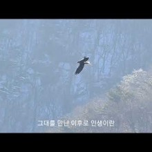 케르 이미지