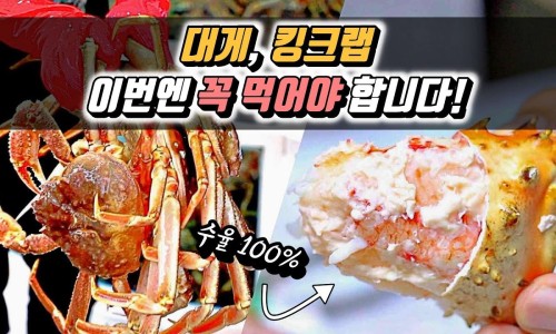 대영ENG 이미지