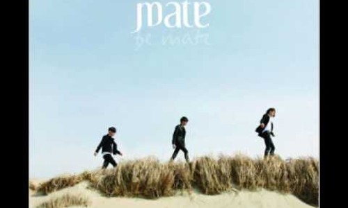 메이트(mate) 이미지