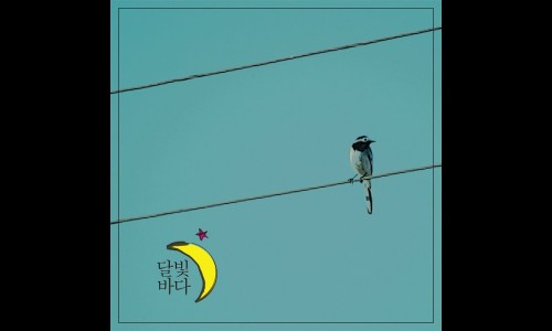 달빛바다 이미지